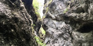 Beitragsbild des Blogbeitrags Durch die wildromantische Weichtalklamm