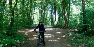 Beitragsbild des Blogbeitrags Mountainbikerunde Bisamberg
