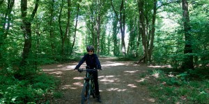 Beitragsbild des Blogbeitrags Mountainbikerunde Bisamberg 