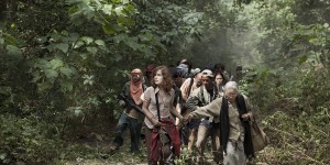 Beitragsbild des Blogbeitrags Captive