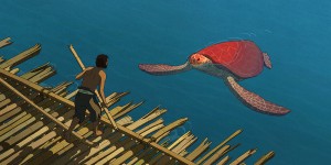 Beitragsbild des Blogbeitrags Die rote Schildkröte 