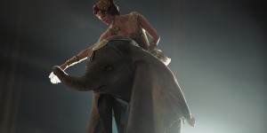 Beitragsbild des Blogbeitrags Dumbo