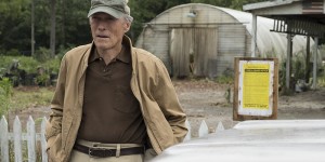 Beitragsbild des Blogbeitrags The Mule