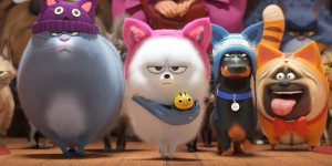 Beitragsbild des Blogbeitrags Pets 2