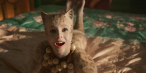 Beitragsbild des Blogbeitrags Cats