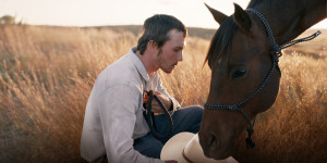 Beitragsbild des Blogbeitrags The Rider