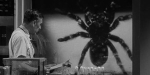 Beitragsbild des Blogbeitrags Tarantula