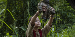 Beitragsbild des Blogbeitrags Godzilla vs. Kong