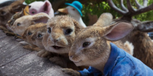 Beitragsbild des Blogbeitrags Peter Hase 2 – Ein Hase macht sich vom Acker
