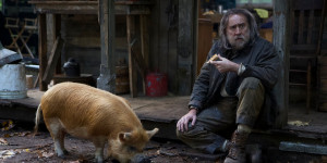 Beitragsbild des Blogbeitrags Pig