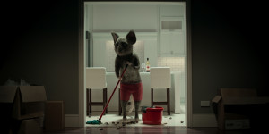 Beitragsbild des Blogbeitrags The House