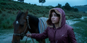 Beitragsbild des Blogbeitrags The Echo (2023)
