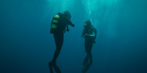 Beitragsbild des Blogbeitrags The Dive (2023) 