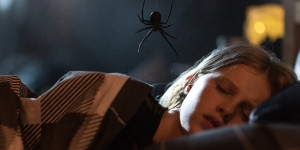 Beitragsbild des Blogbeitrags Sting (2024)