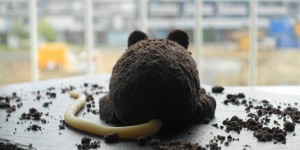 Beitragsbild des Blogbeitrags Zuckersüße Halloween – Ratte