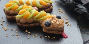 Beitragsbild des Blogbeitrags Schrecklich lecker: fruchtiger SNAKE CAKE mit Nuss – Nougat – Creme 
