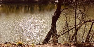 Beitragsbild des Blogbeitrags Und immer noch bringt die Sonne das Wasser zum Glitzern …