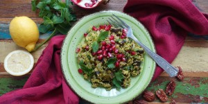 Beitragsbild des Blogbeitrags Couscous mit Melanzani, Zwiebeln und Granatapfel (vegan)