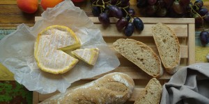 Beitragsbild des Blogbeitrags B.B. – Baguette „Brigitte“