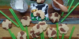 Beitragsbild des Blogbeitrags Kuhflecken – Kekse mit Vanille & Carob