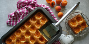 Beitragsbild des Blogbeitrags Backen wie früher: Marillen – Kuchen vom Blech