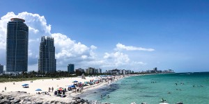 Beitragsbild des Blogbeitrags See you later, Alligator! Urlaub in Miami