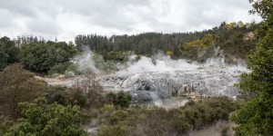 Beitragsbild des Blogbeitrags Nase zu und durch – ein Tag in Rotorua 
