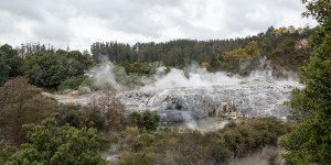 Beitragsbild des Blogbeitrags Nase zu und durch – ein Tag in Rotorua