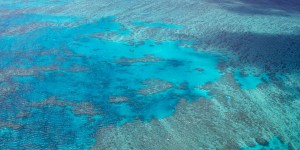 Beitragsbild des Blogbeitrags Mit dem Flieger über das Great Barrier Reef