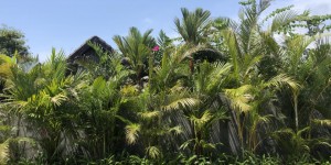 Beitragsbild des Blogbeitrags Reiseupdate KW 50