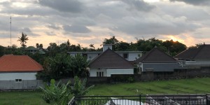 Beitragsbild des Blogbeitrags Bali – Verkehrschaos und Kokosnuss