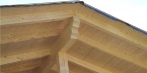 Beitragsbild des Blogbeitrags Zubau: Dachkonstruktion im Detail