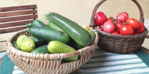 Beitragsbild des Blogbeitrags Gesundheit ist Eigenverantwortung