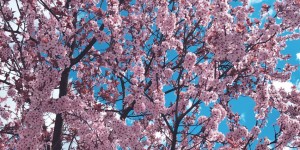 Beitragsbild des Blogbeitrags Monthly Review April #4 2019