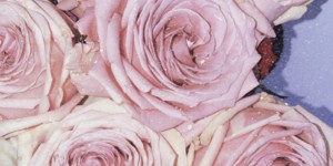 Beitragsbild des Blogbeitrags Life Update #2