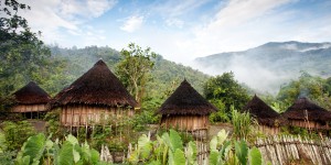 Beitragsbild des Blogbeitrags Faszination Papua-Neuguinea //