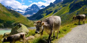 Beitragsbild des Blogbeitrags Luxus & Wellness im schönen Tirol // 4-5 Tage im sehr guten 4 Sterne Superior Hotel mit Wellness, Vollpension & Extras // nur 289,-€ 