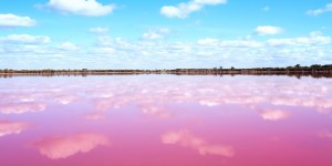 Beitragsbild des Blogbeitrags Pink Lakes // Diese rosa Seen verzaubern mit ihrem Farbton 