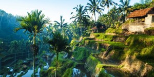 Beitragsbild des Blogbeitrags Rundreise & Baden in Bali // 16 Tage inkl. super Hotels****, Frühstück, Transfer, Ausflügen & Flügen // nur 1499,-€