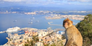 Beitragsbild des Blogbeitrags Vielseitiges Gibraltar // Wo sich Europa und Afrika fast berühren 