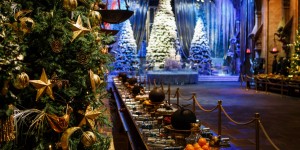 Beitragsbild des Blogbeitrags Weihnachten in Hogwarts // Erlebt Hogwarts in the Snow & ein magisches Weihnachtsdinner