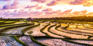 Beitragsbild des Blogbeitrags Erholsamer Urlaub auf Bali // 9 Tage im top Hotel inkl. Flügen, Frühstück und Transfer // nur 844,-€
