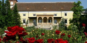 Beitragsbild des Blogbeitrags Romantikurlaub im Schloss Weikersdorf // 3 Tage im super Schlosshotel **** inkl. Frühstück, Wellness, Abendmenü & Extras // nur 160,-€ 