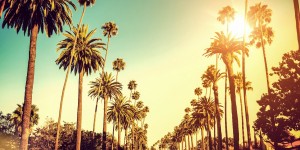 Beitragsbild des Blogbeitrags Kracherflüge nach Los Angeles // Günstige Hin- und Rückflüge ab Wien // nur 285,-€ 