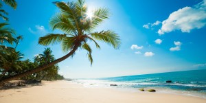 Beitragsbild des Blogbeitrags Sri Lanka Traumurlaub // 8 Tage im schönen Hotel**** direkt am Strand inkl. Frühstück, Transfer & Flügen // nur 768,-€