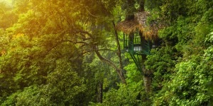 Beitragsbild des Blogbeitrags Treehouse Villa in Thailand // 10 Tage Thailand in der TreeHouse Villa***** inkl. Flügen, Transfer & Frühstück // nur 1878,-€ 