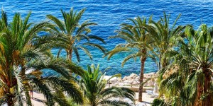 Beitragsbild des Blogbeitrags Adults Only-Hotel auf Mallorca // Mallorca: 1 Woche im top Mar Azul PurEstil Hotel & Spa**** inkl. Flügen, Transfer & Halbpension // nur 514,-€ 