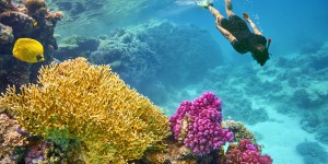Beitragsbild des Blogbeitrags All Inclusive in Marsa Alam // 1 Woche Ägypten im schönen Superior Hotel **** inkl. Flügen, All Inclusive und Transfer // nur 449,-€