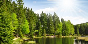 Beitragsbild des Blogbeitrags Wellnessauszeit in Bayern // 3 Tage im 1. Bier- und Wohlfühlhotel inkl. Verwöhnpension, Bierbad & Extras // nur 179,-€