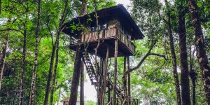 Beitragsbild des Blogbeitrags Baumhaus Hotels in Österreich // Urlaub inmitten der Natur